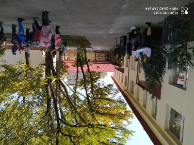 IMG 20201023 104250