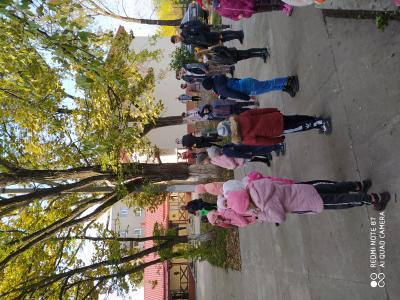 IMG 20201023 102658